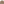         Rokh Beige Gabardine Double-Layered Trench Coat