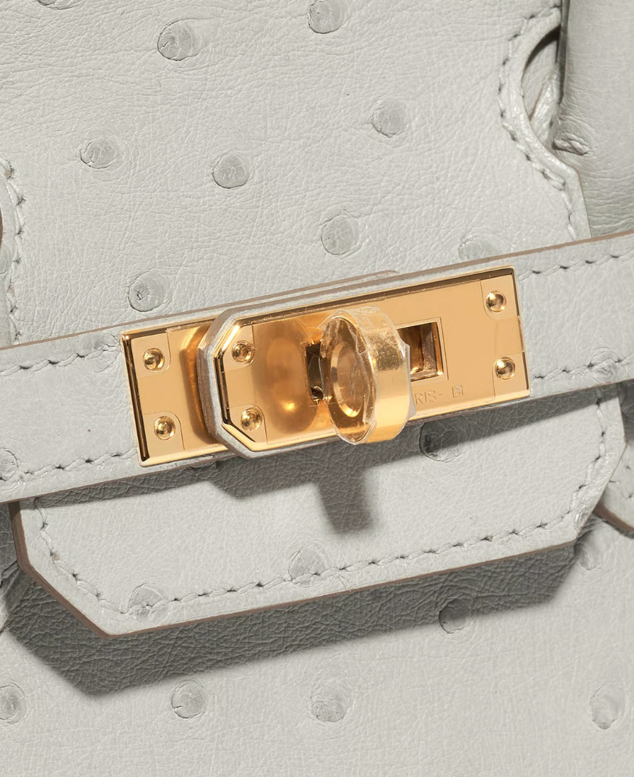 Hermès HSS Autruche Gris Perle Birkin 25 With Gold-tone Hardware