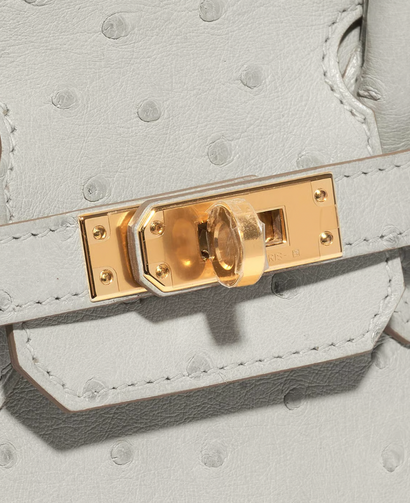 Hermès HSS Autruche Gris Perle Birkin 25 With Gold-tone Hardware