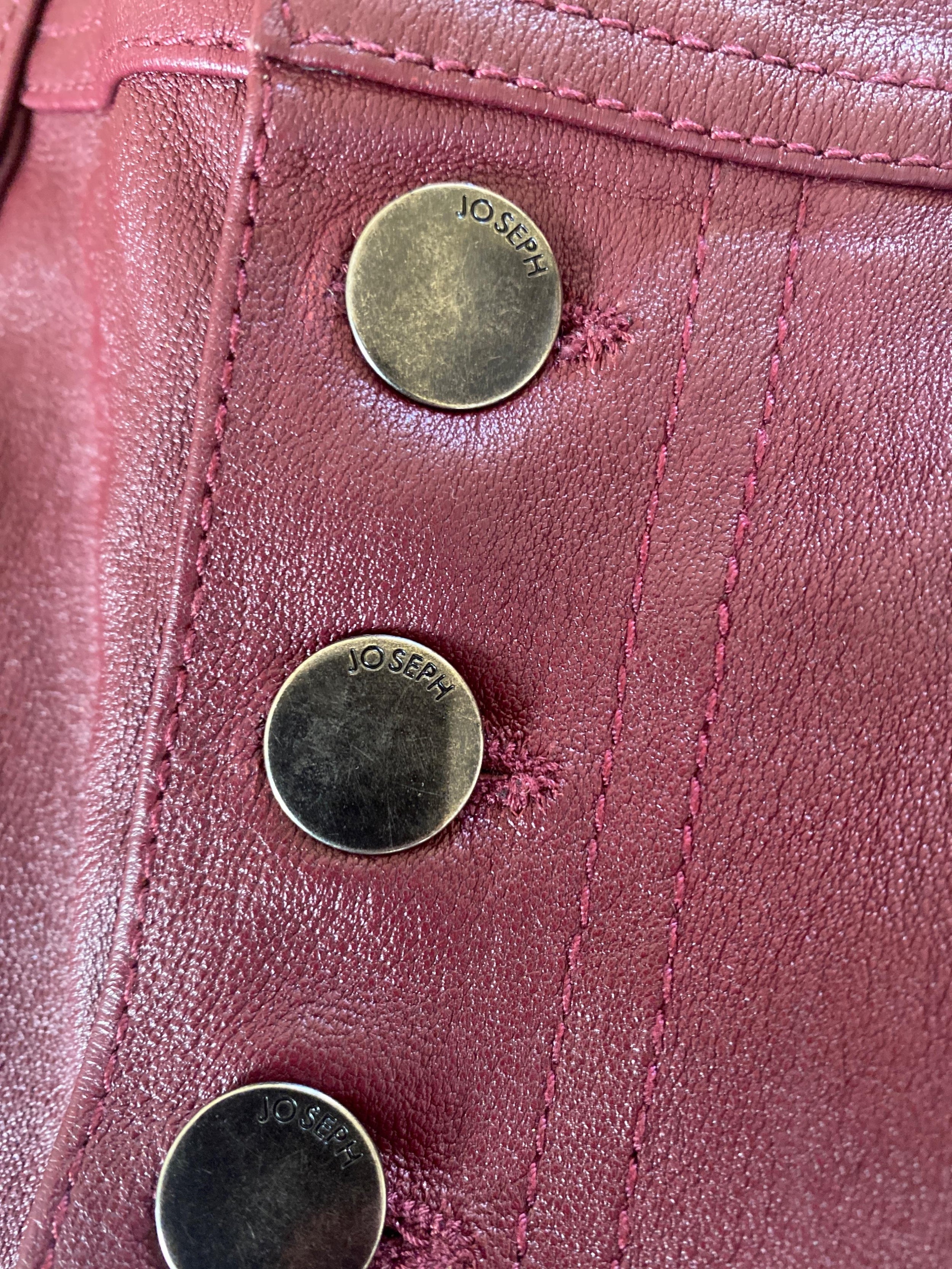 Den Burgundy Stretch Leather Pants