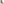         Gianvito Rossi Beige Suede Ankle Boots