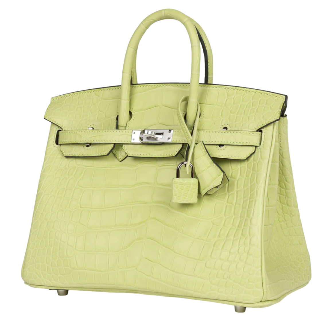 Jaune Bourgeon Birkin 25 cm in Mississippiensis Alligator Matte with Palladium Hardware