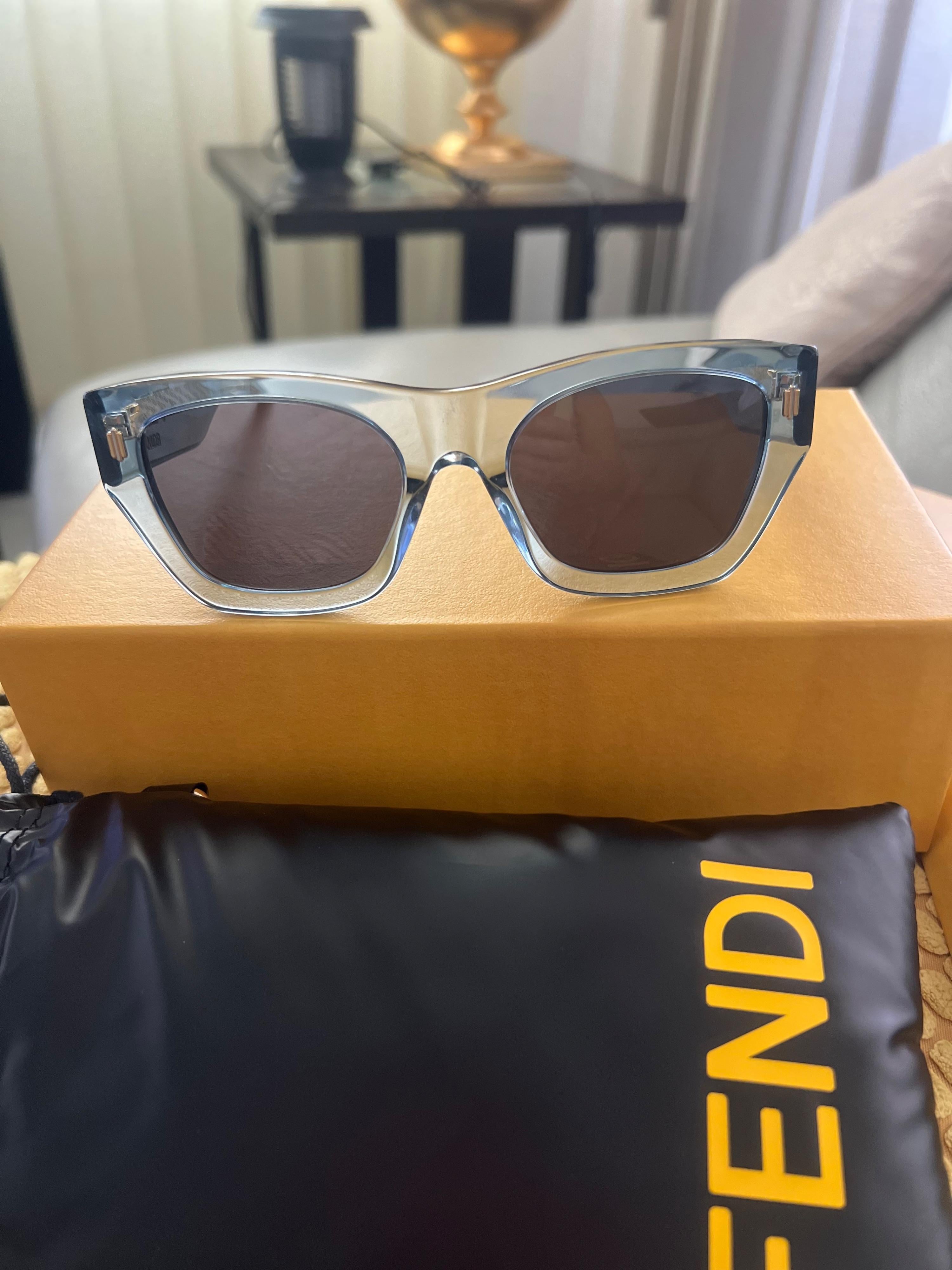 Fendi Blue Fendigraphy Acetate Sunglasses