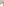         Gucci Beige Glitter Effect Long Sleeve Top