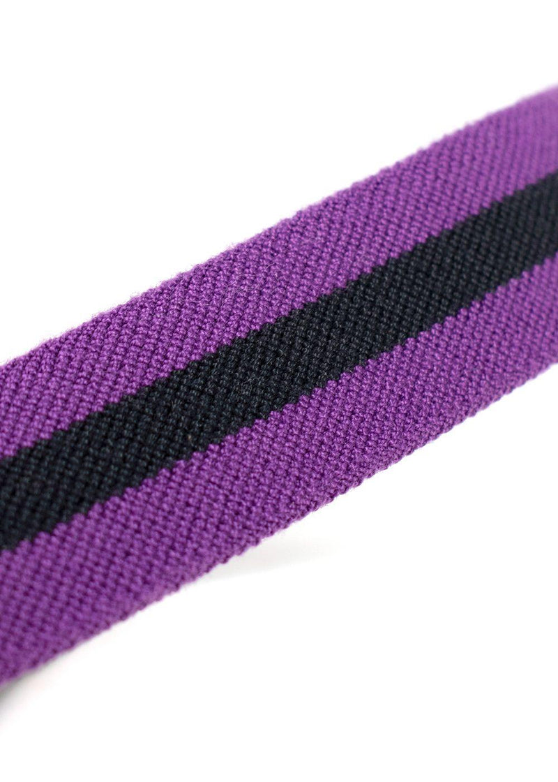 Carolina Hererra Brown Leather & Purple Canvas Belt