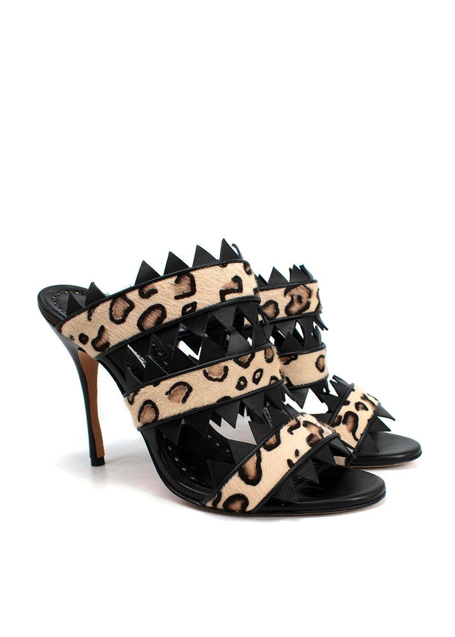 Manolo Blahnik Black Leopard Print Calf Hair Heeled Mules