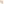         Gianvito Rossi Beige Suede Vamp Heels