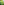         Christian Lacroix Acid Green Frock Coat