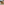         Jacquemus Medium Tan Leather Chiquito