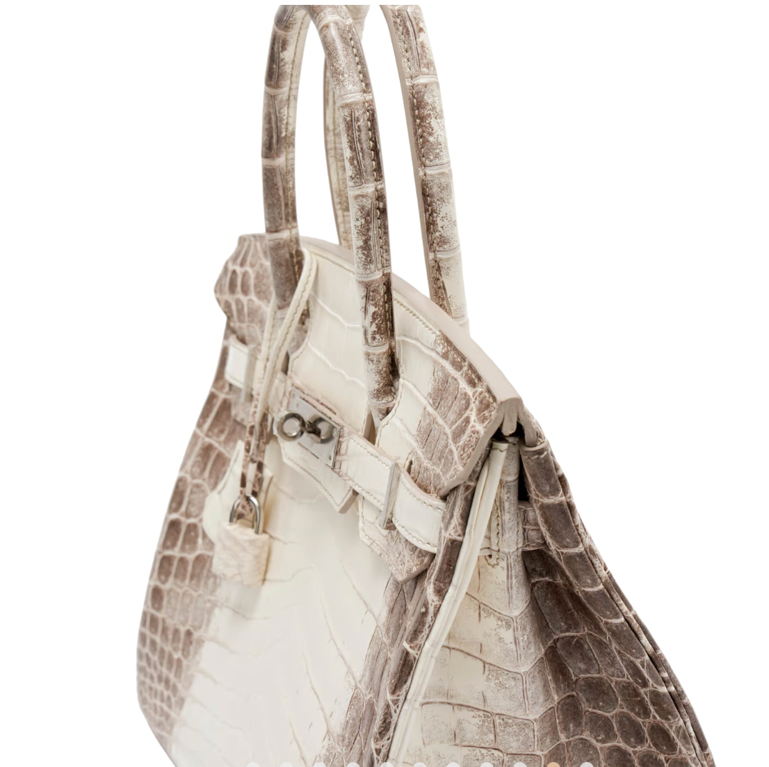 30 cm Crocodile Niloticus Matte Himalaya Birkin Palladium Hardware