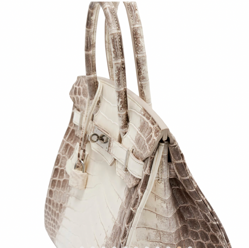30 cm Crocodile Niloticus Matte Himalaya Birkin Palladium Hardware