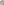         Joseph Cashmere Beige Long Sleeve Top