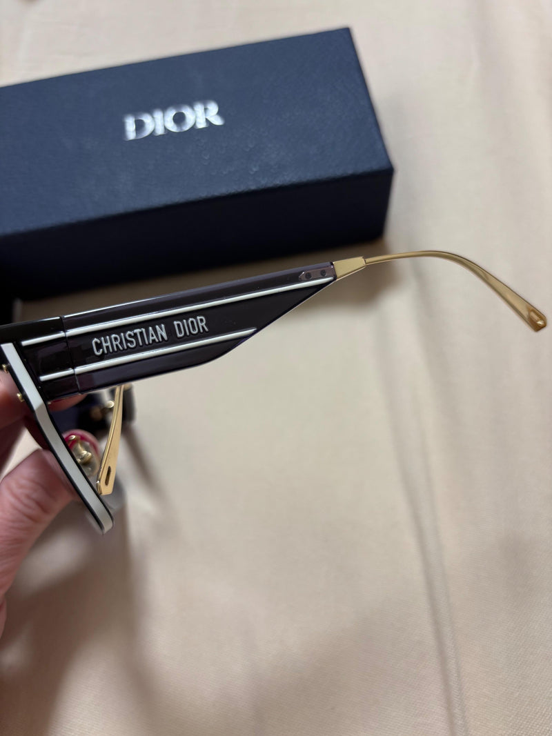 Dior Blue Mask Sunglasses