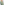         Self Portrait Green Embellished Maxi Dress