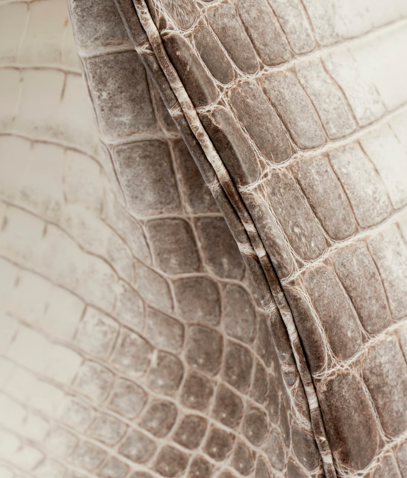 30 cm Crocodile Niloticus Matte Himalaya Birkin Palladium Hardware