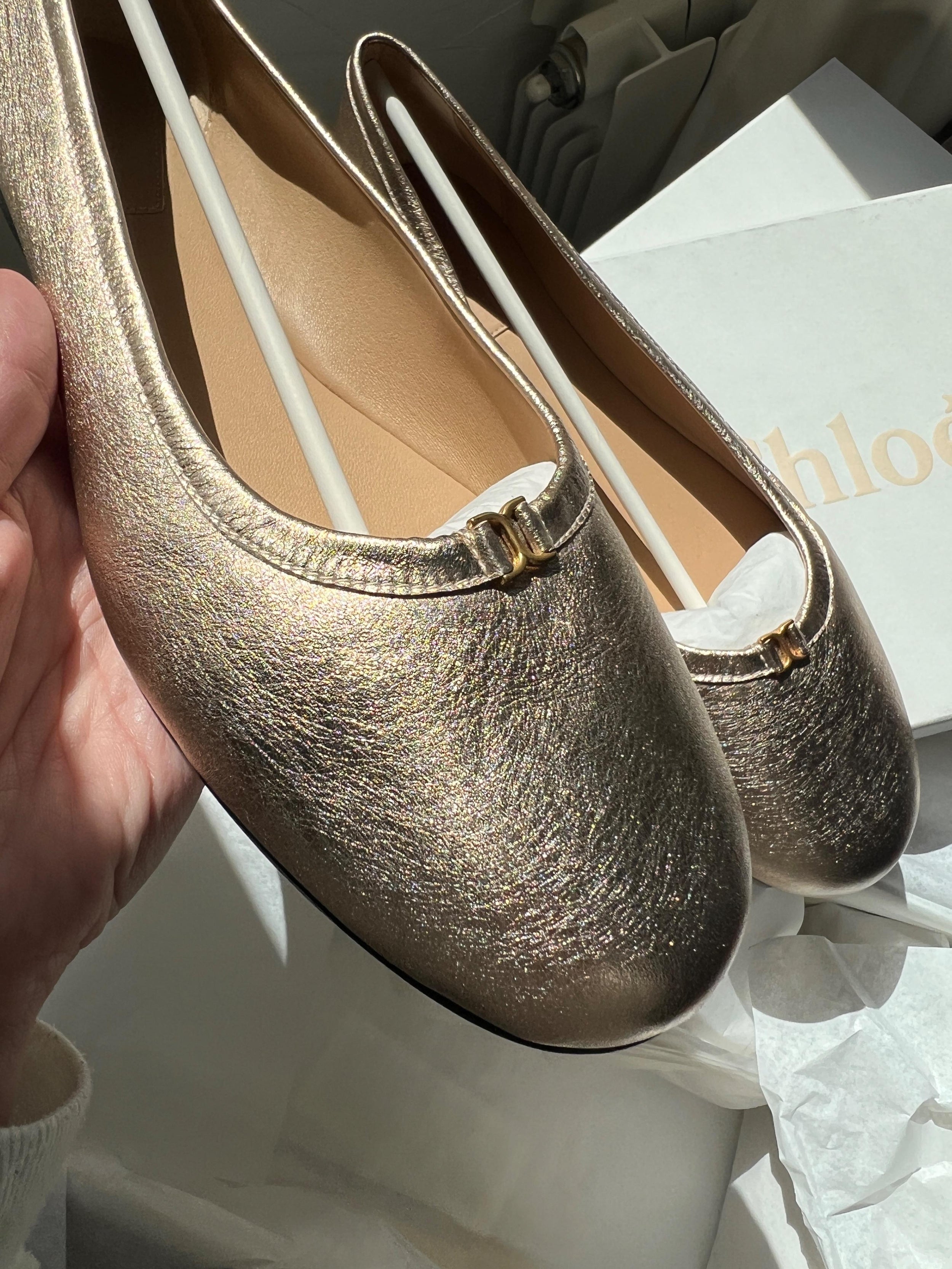 Chloe Metallic Leather Ballet Flats