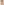         Off White Wool Blend Longline Camel Jacket