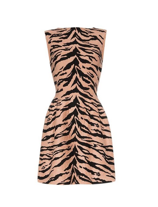 tiger print intarsia knit skater dress