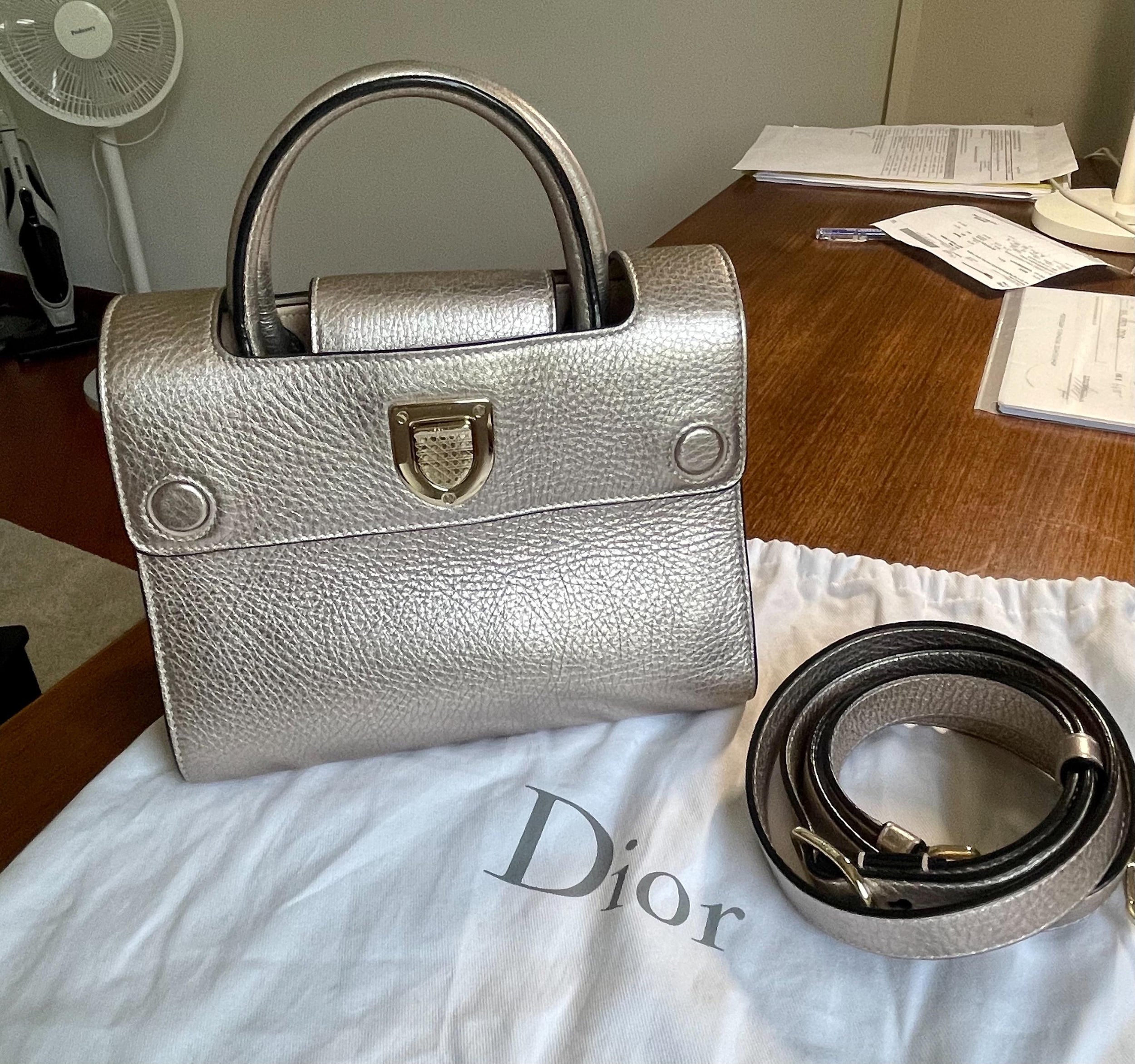 Silver Grained Leather Mini Diorama Bag