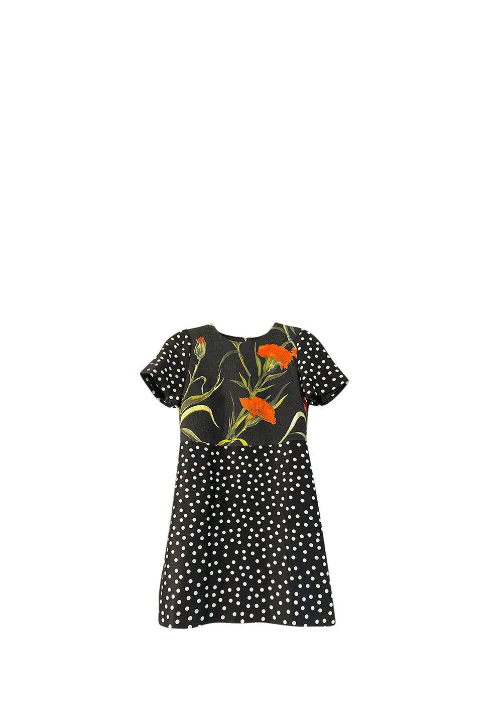 Floral & Polka Dot Print Dress