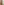         Stella McCartney Nude Silk Dress