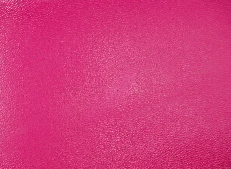 Chanel Mini Timeless Single Flap Pink Leather Bag