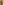         Beige sequinned pointelle knit cami dress