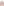         Nanushka Beige Hide Faux Leather Puffer Coat