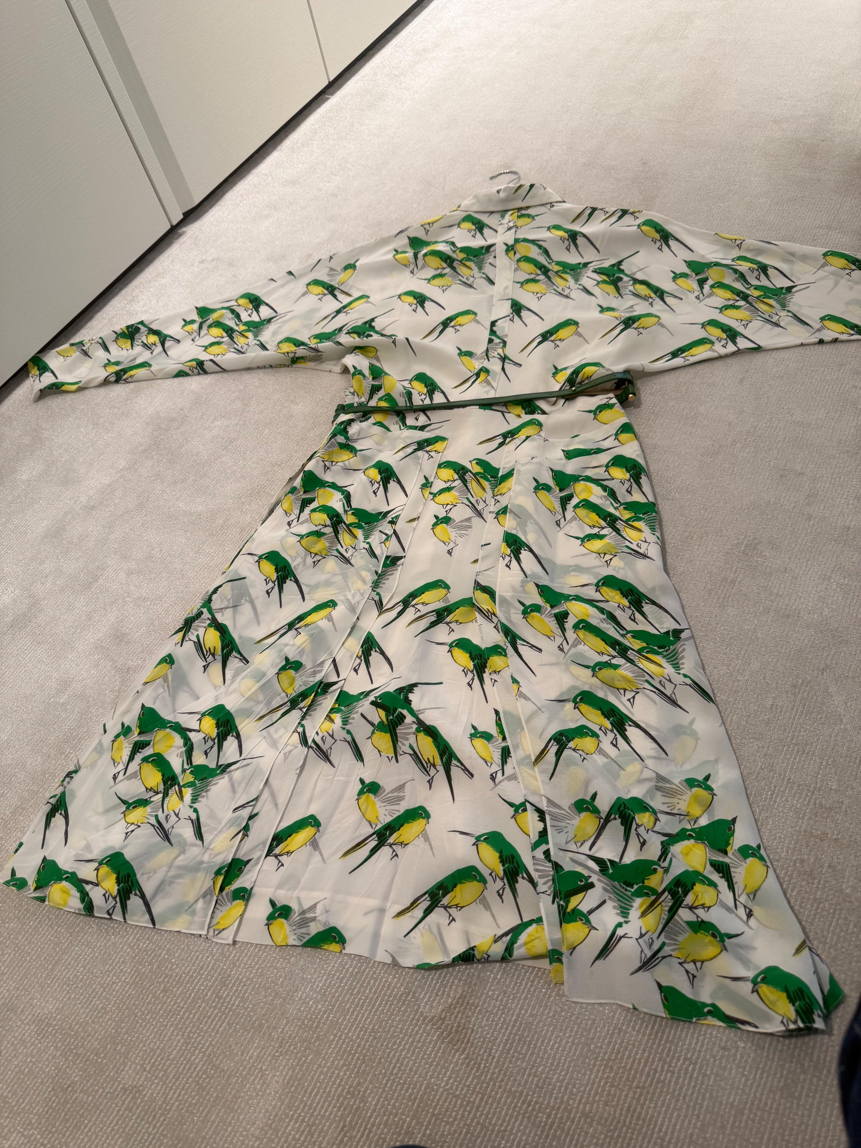 Long Sleeved Belted bird Print Dress