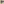         Two-Tone Archive Aviator