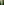         Christian Lacroix Acid Green Frock Coat