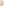         Gucci Beige Anchor Embroidered Cropped Jacket