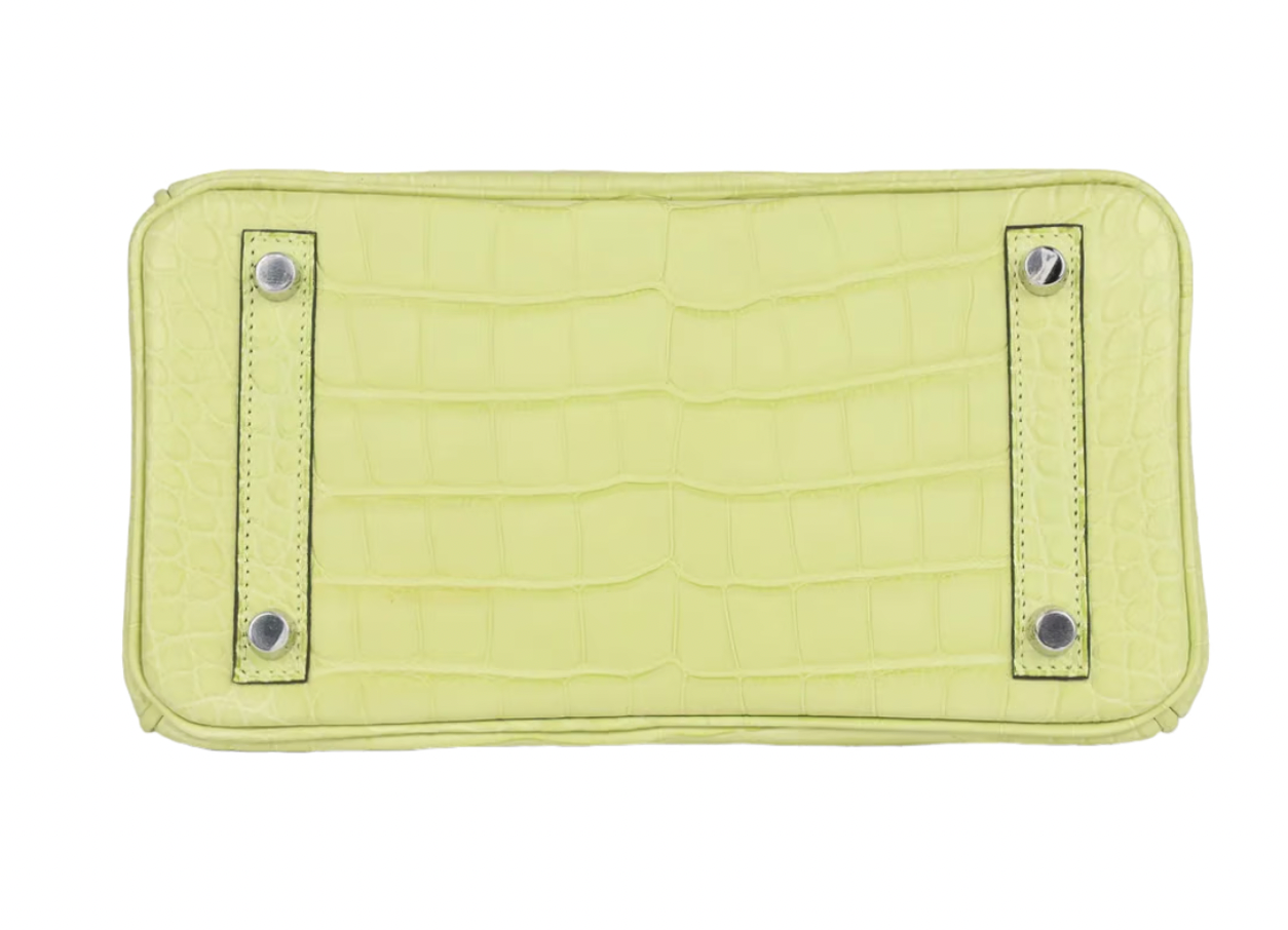 Jaune Bourgeon Birkin 25 cm in Mississippiensis Alligator Matte with Palladium Hardware