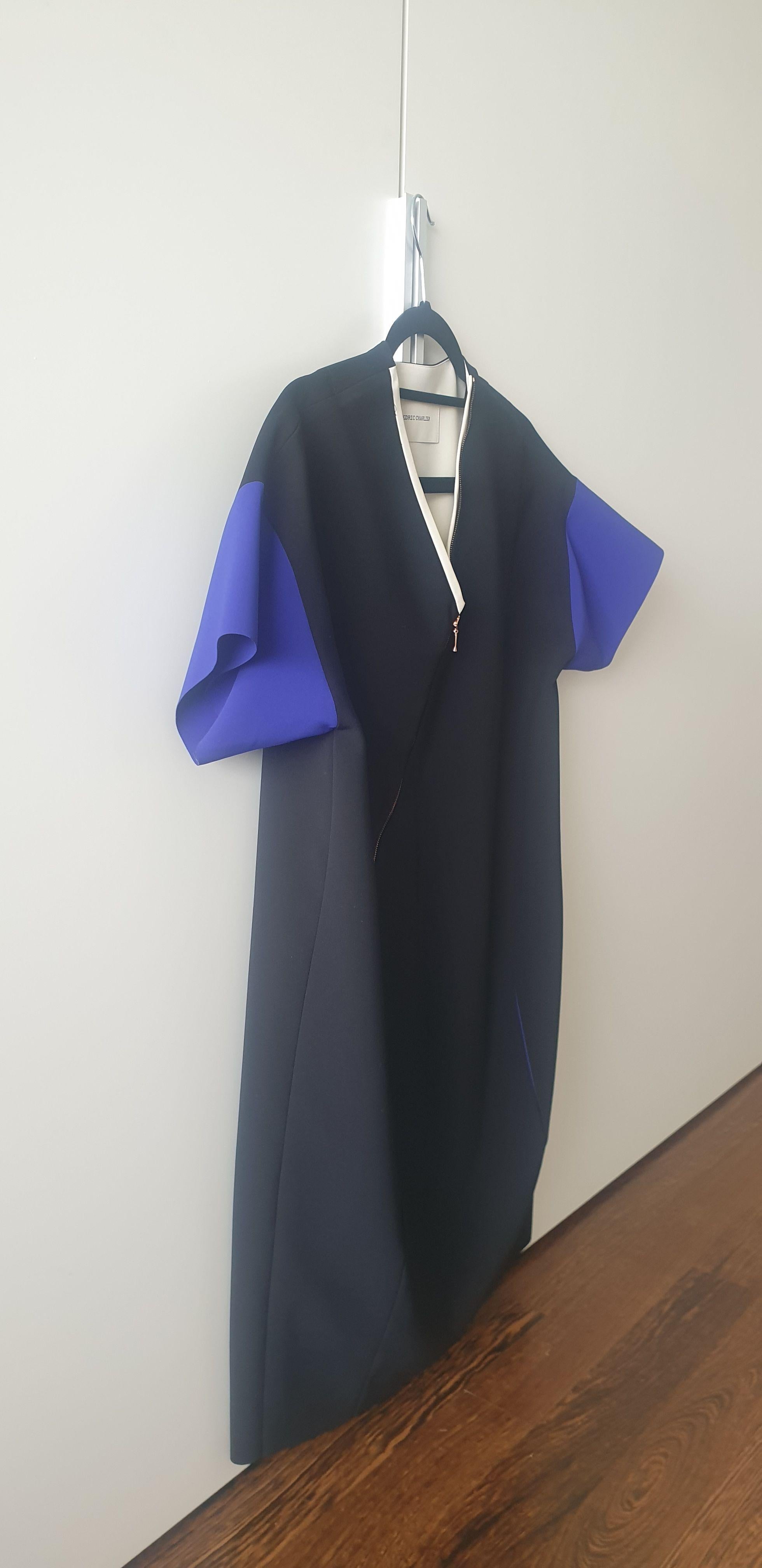 Black & Blue Asymmetric Zip Dress
