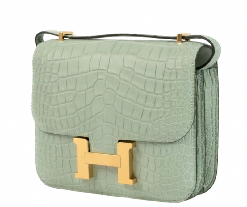 Matte Vert d'Eau Mississipiensis Alligator 18cm Mini Constance with Gold Hardware