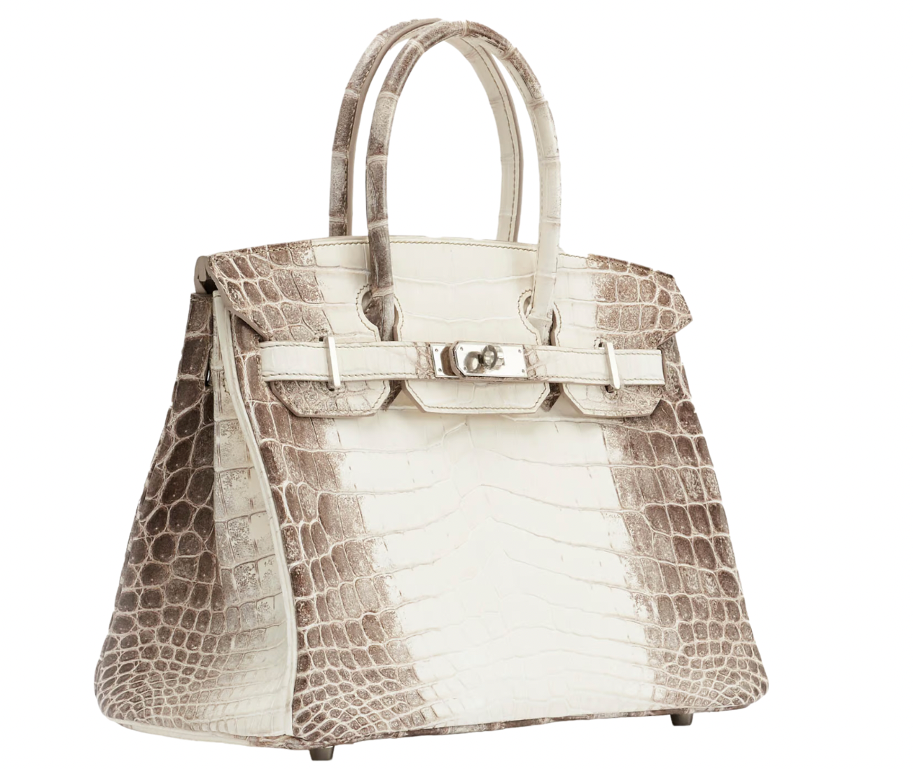 30 cm Crocodile Niloticus Matte Himalaya Birkin Palladium Hardware