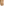         My Beachy Side Gold One Shoulder Swimsuit