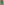        Dotted Tulle Green Shift Dress