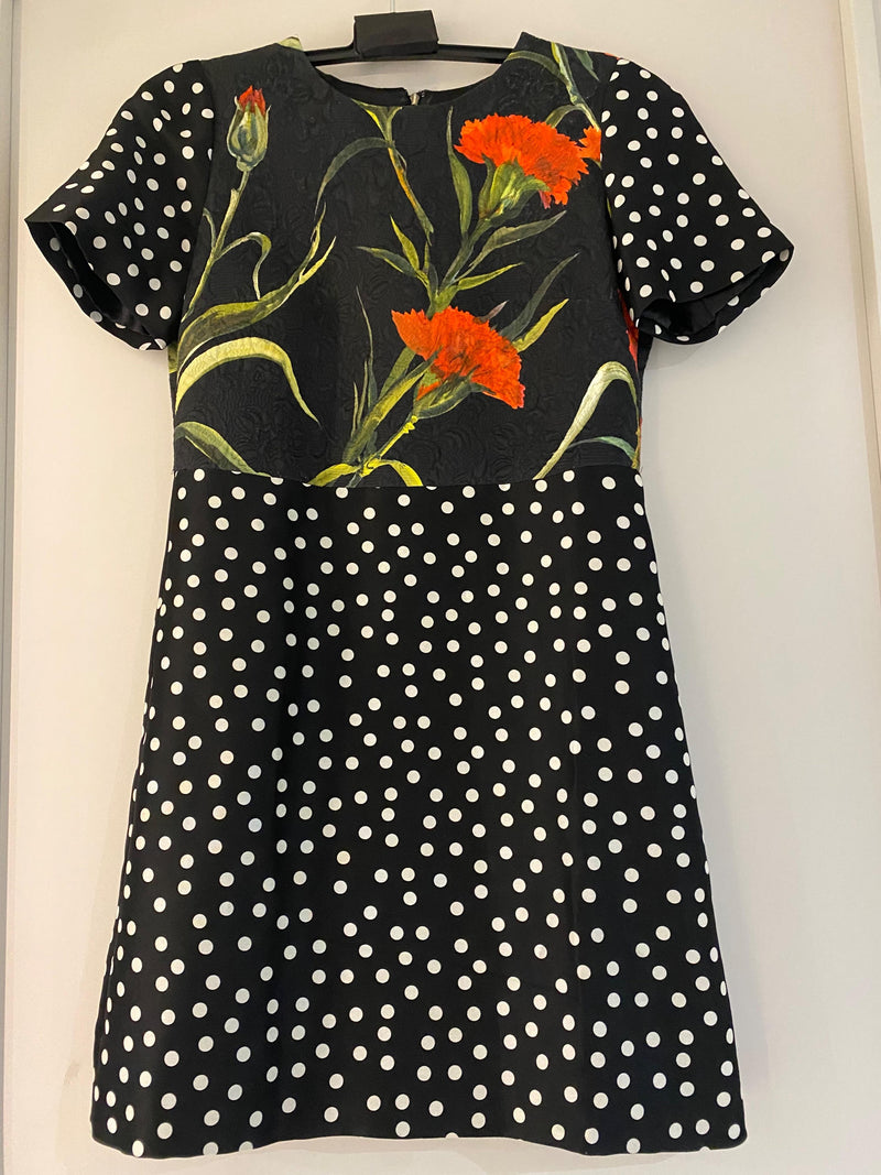 Floral & Polka Dot Print Dress