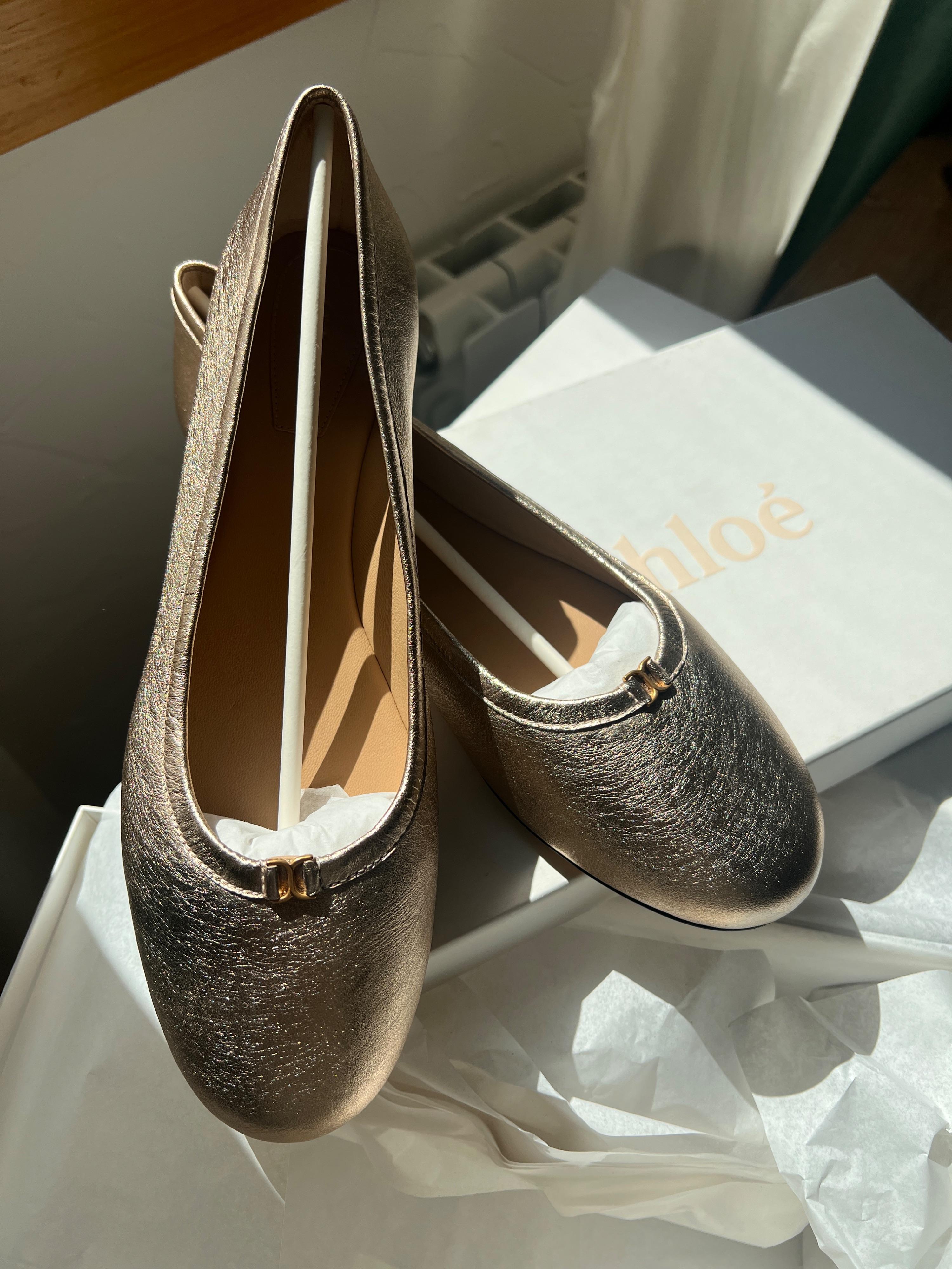 Chloe Metallic Leather Ballet Flats