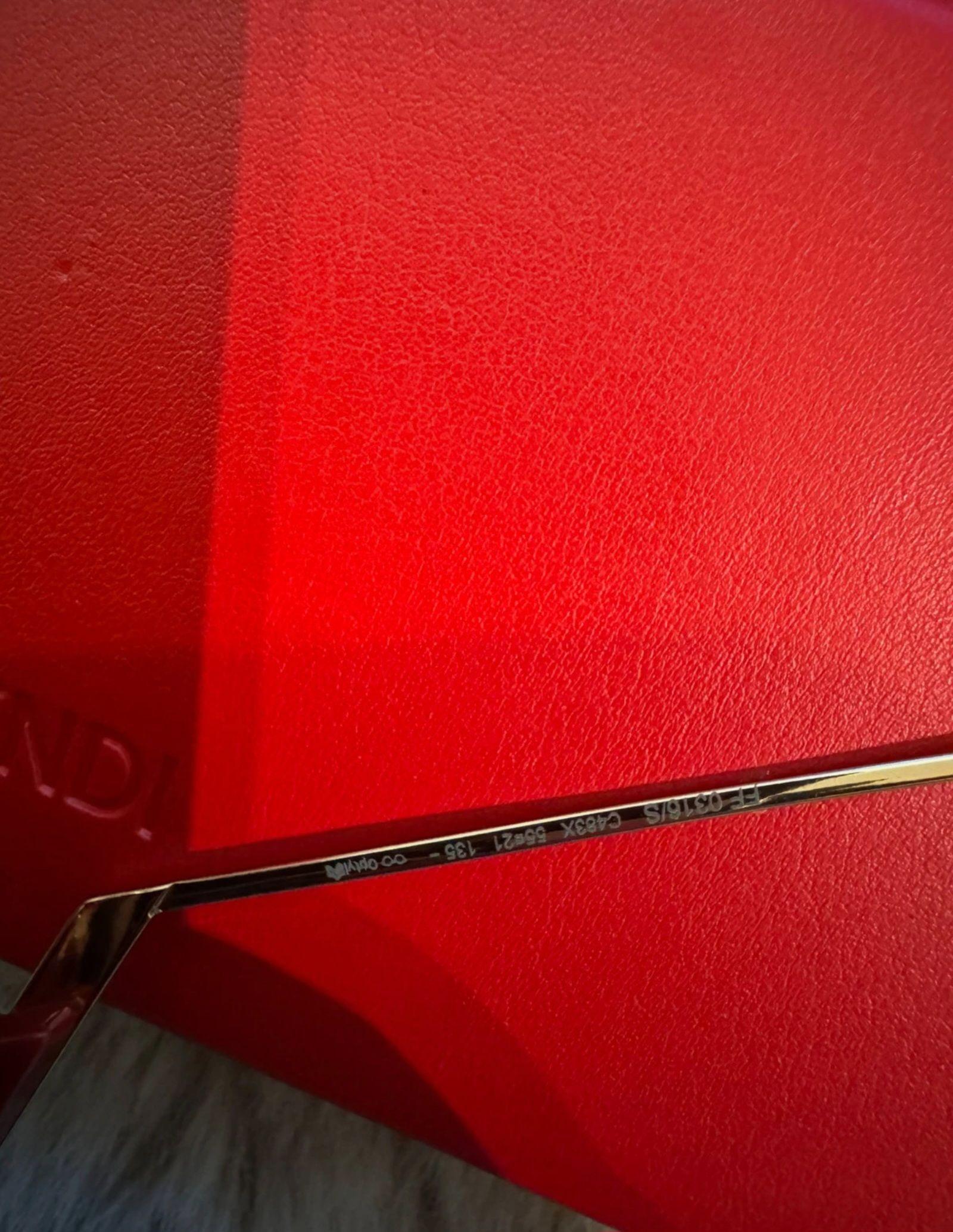 Fendi Large Acetate Sunglasses