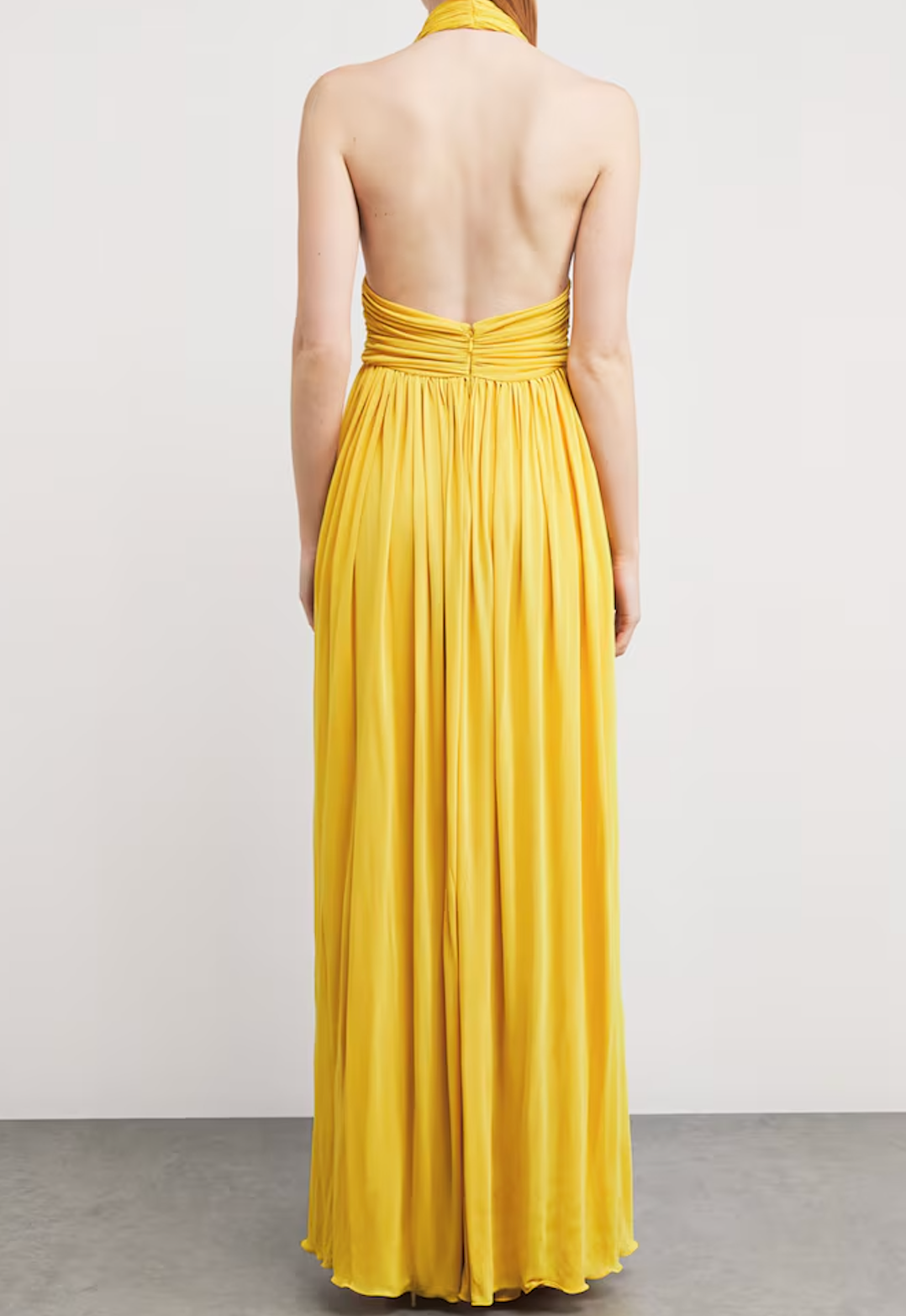 Giambattista Valli Tulle Halterneck Maxi Dres