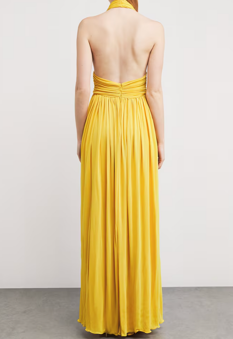 Giambattista Valli Tulle Halterneck Maxi Dres