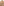         Rejina Pyo High Waist Wide Leg Tan Trousers