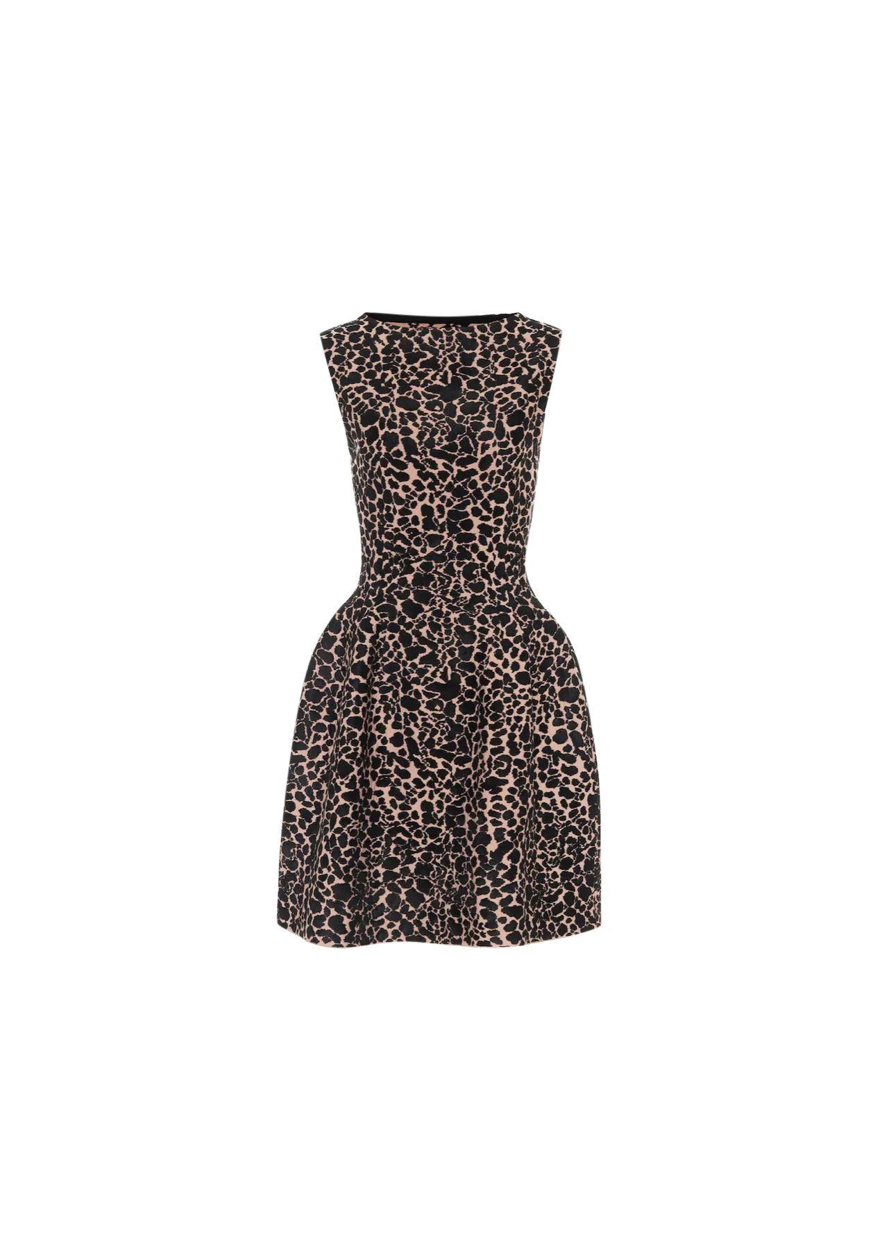 leopard print intarsia knit skater dress