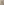         Burberry Baby Cotton Beige Chinos