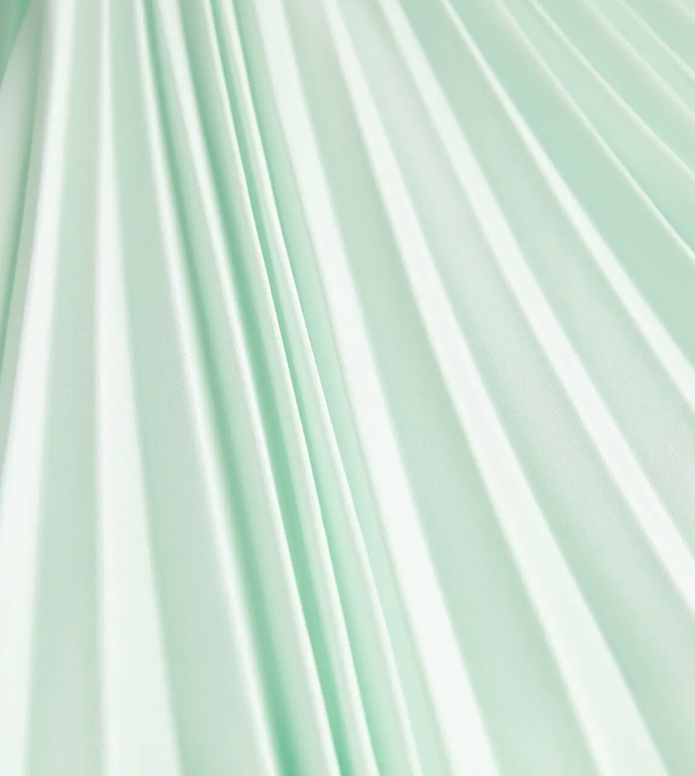 Huishan Zhang  Pleated Gown