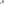         Prada Black Limited Edition Crystal Embellished Sunglasses