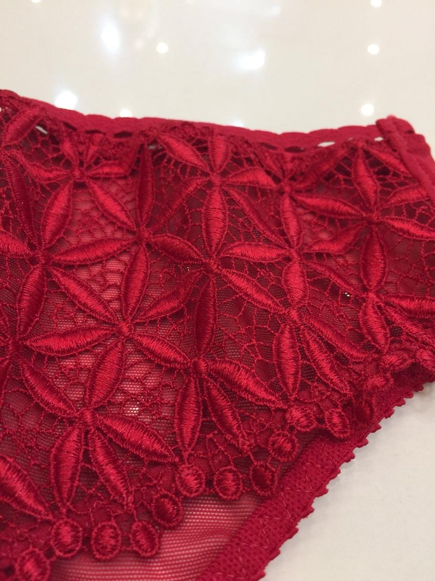 Aubade Paris red guipure lace briefs