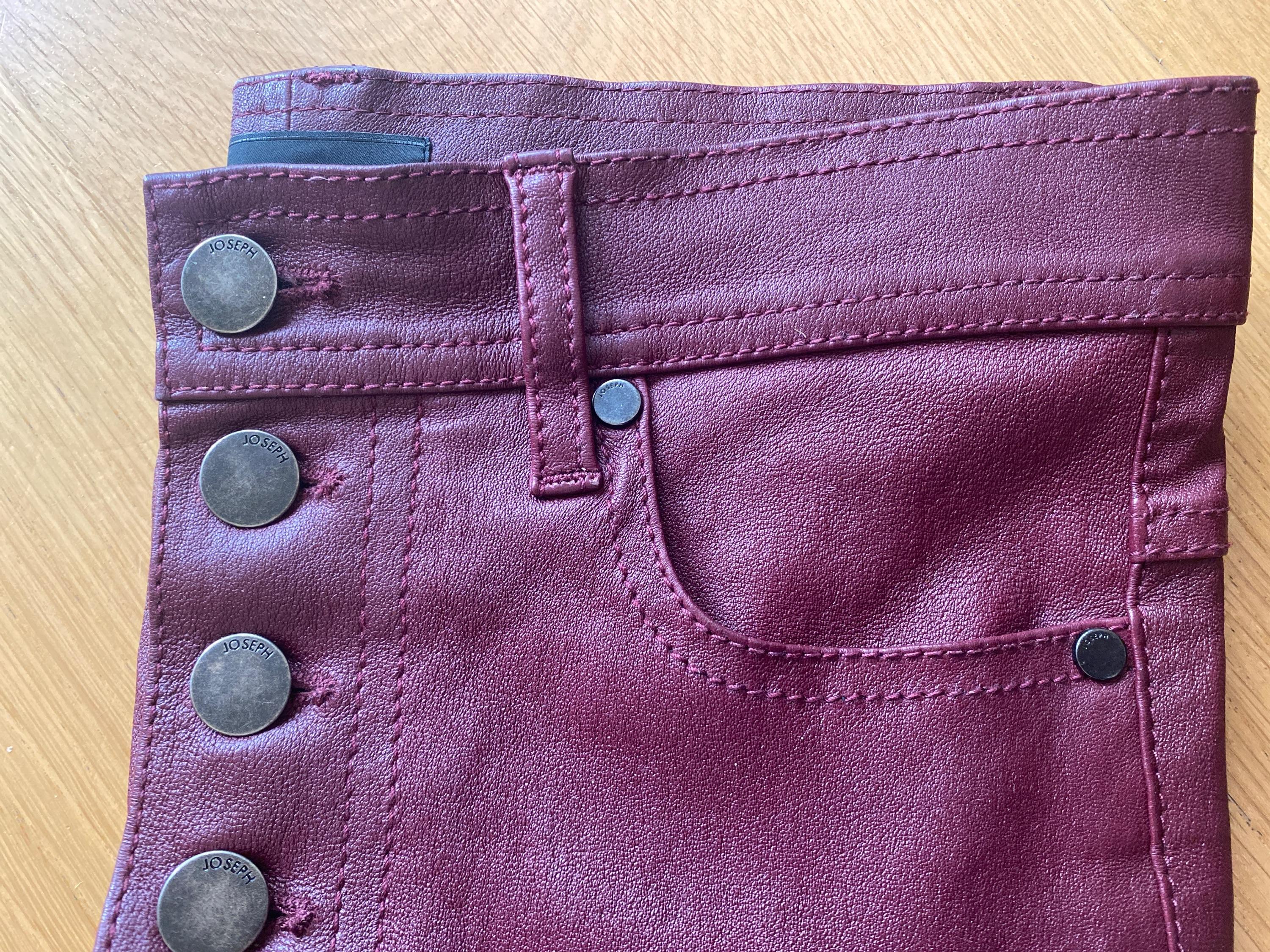Den Burgundy Stretch Leather Pants